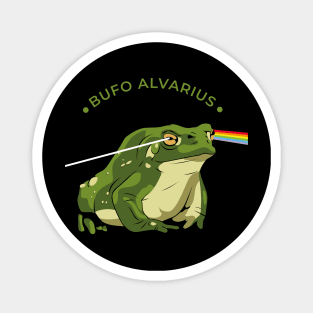 Bufo Alvarius Magnet